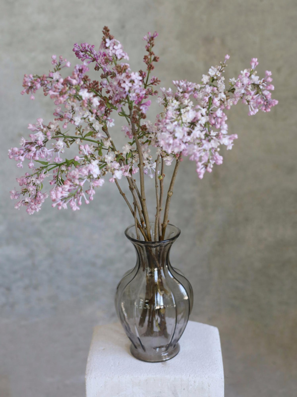 Ваза Кувшин Ваза Кувшин