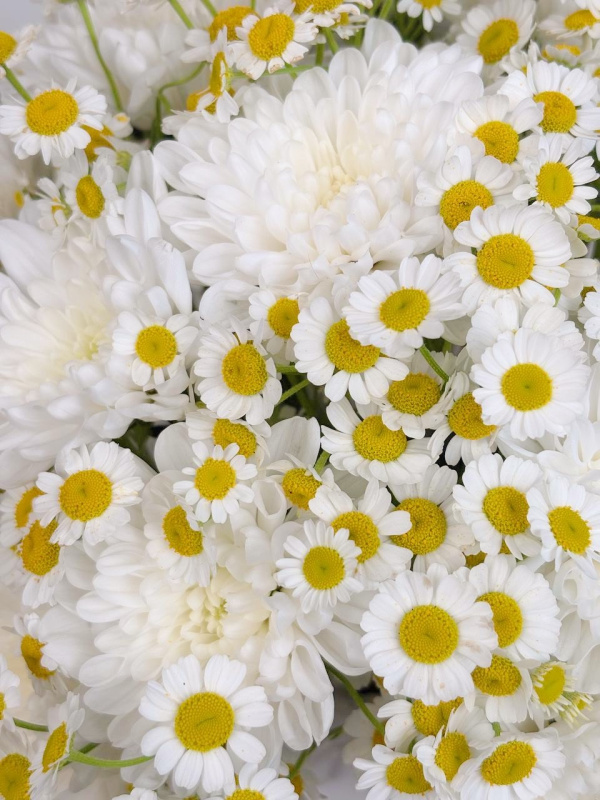 КОМПОЗИЦИЯ С РОМАШКОЙ КОМПОЗИЦИЯ С РОМАШКОЙ