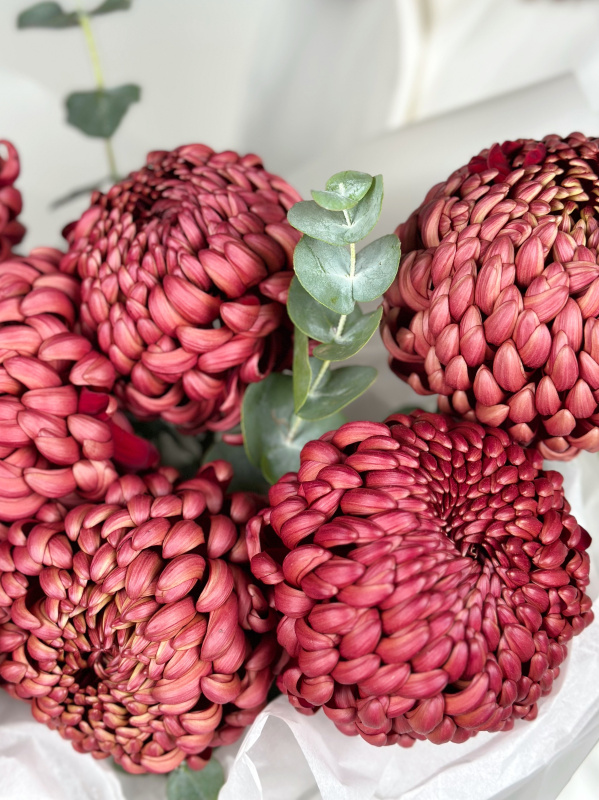 БУКЕТ С ХРИЗАНТЕМОЙ И ЭВКАЛИПТОМ