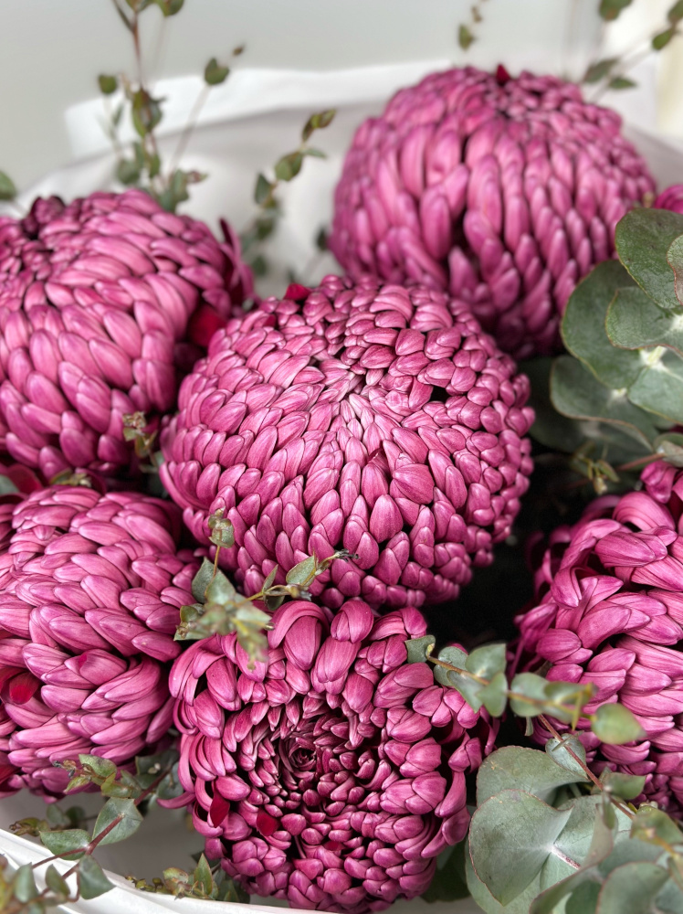 КРУГЛЫЙ БУКЕТ С ХРИЗАНТЕМОЙ И ЭВКАЛИПТОМ