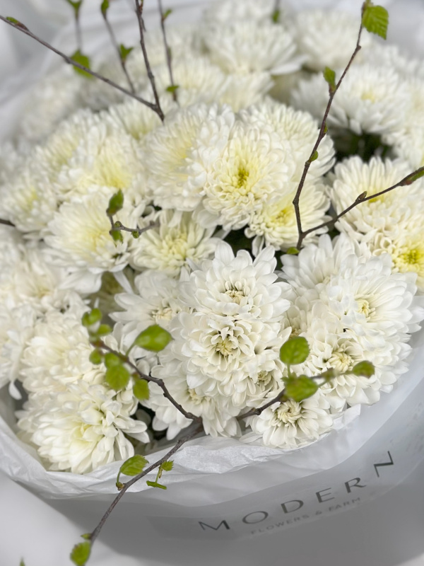 БЕЛОСНЕЖНЫЙ БУКЕТ ИЗ ХРИЗАНТЕМЫ И ВЕСЕННИХ ВЕТОЧЕК