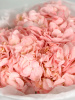 Букет из розовых гортензий